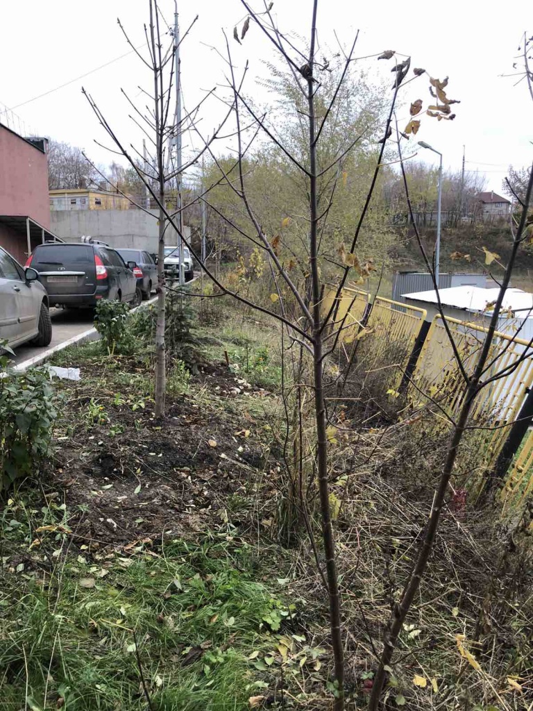После Грин парк аврора (5).jpg После Грин парк аврора (5).jpg
