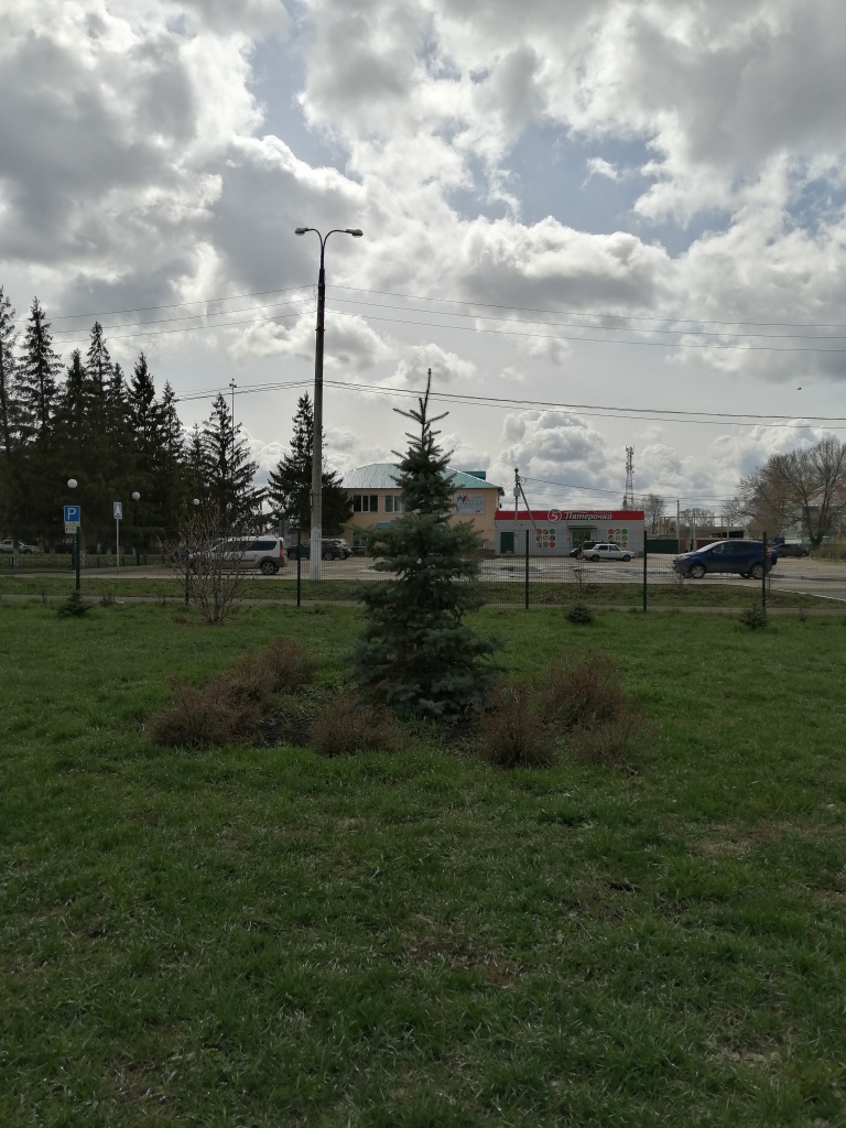 Аллея ветеранов 20200423 2.jpg Аллея ветеранов 20200423 2.jpg