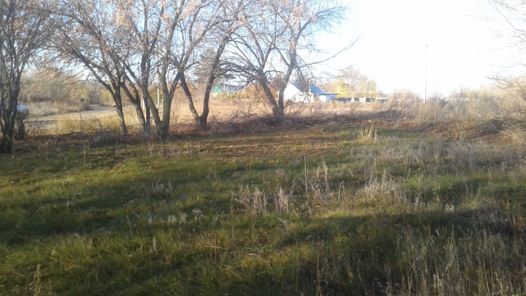 20191023_091628.jpg 20191023_091628.jpg