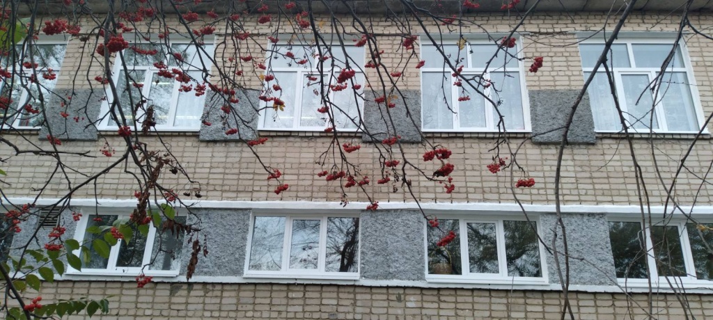 Окно в мир прекрасного после.jpg Окно в мир прекрасного после.jpg